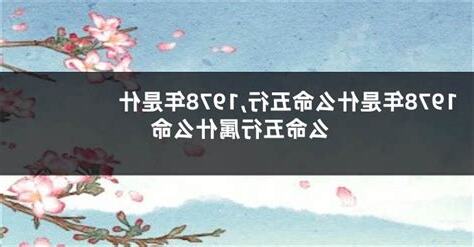 1978 年五行属什么